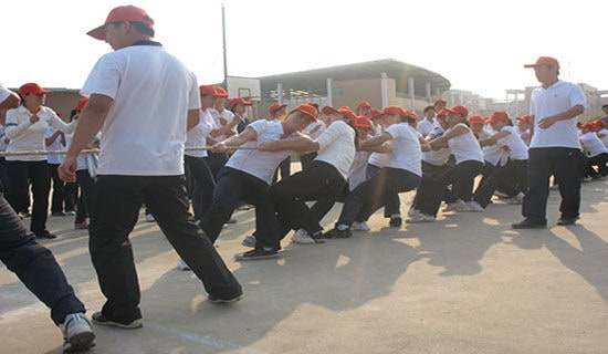 拔河比赛活动策划15篇