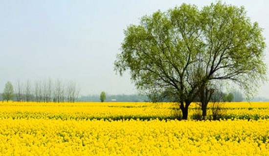 ���λ������ĺϼ�15ƪ