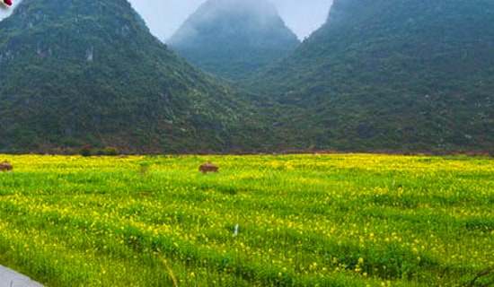 春游小学作文(精选15篇)